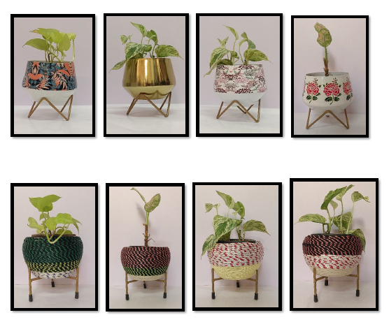 Responsive Image