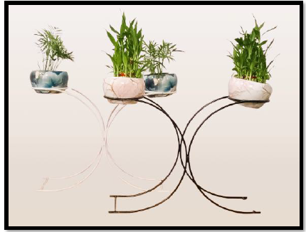 Responsive Image