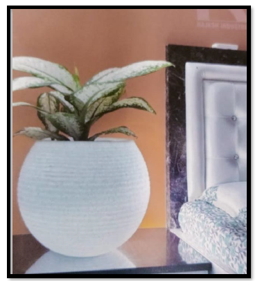 Responsive Image